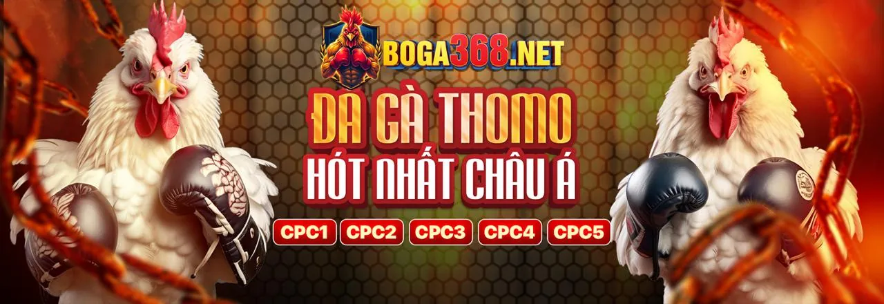 Chiến thuật đá gà J888