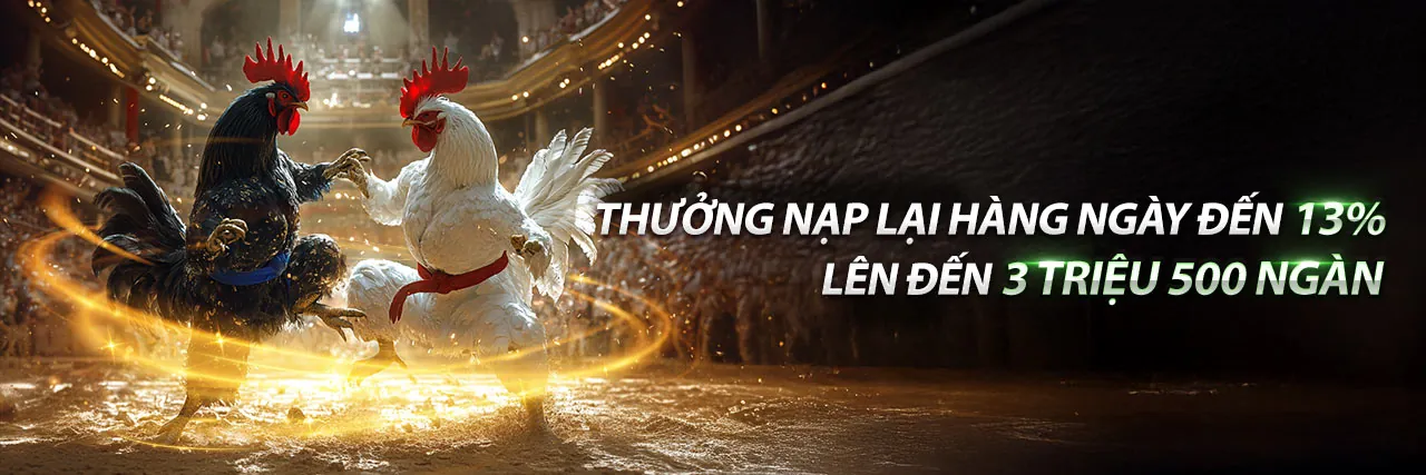 Sân chơi đá gà trực tuyến E2BET 2026 với không khí sôi động