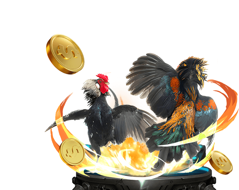 Hình ảnh trận đấu đá gà trực tuyến tại e2bet, với các chiến kê đang thi đấu trong sàn đấu chuyên nghiệp