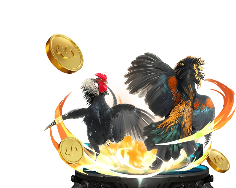 Hình ảnh các giống gà đá đa dạng như gà Mỹ, gà Peru, thể hiện sự phong phú của các trò chơi đá gà tại E2BET.
