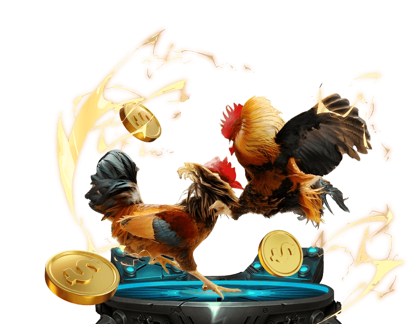 Hình ảnh tổng quan về sân chơi cá cược thể thao và đá gà trực tuyến tại e2bet, với các trận đấu sôi động và người hâm mộ