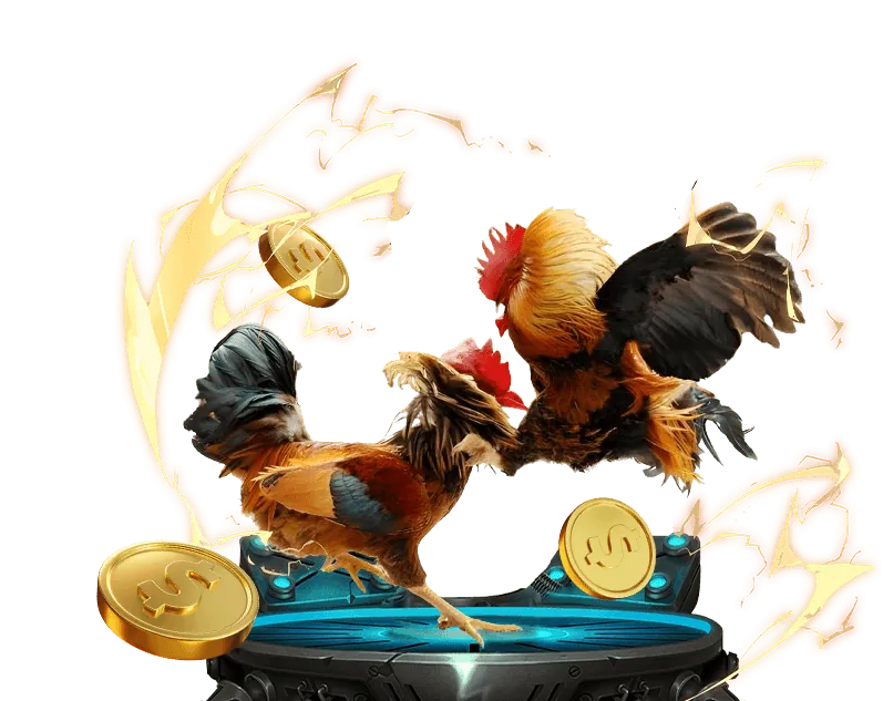 Trận đấu e2bet đá gà trực tuyến kịch tính với hình ảnh chiến kê dũng mãnh